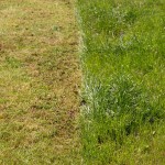 Malčer za travu s posudom za sakupljanje